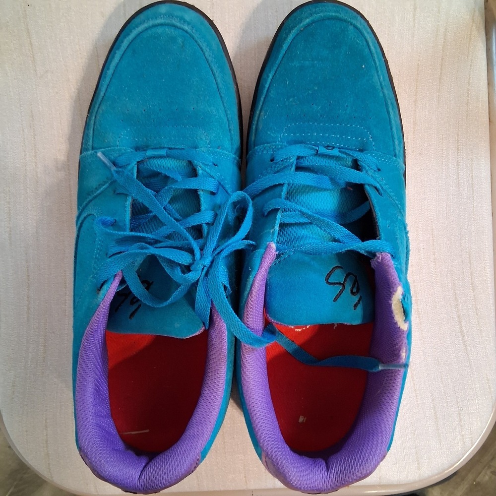 eS Accel Slim Skate Shoes Teal Black Violet Suede Low Top Men's 11 Rare